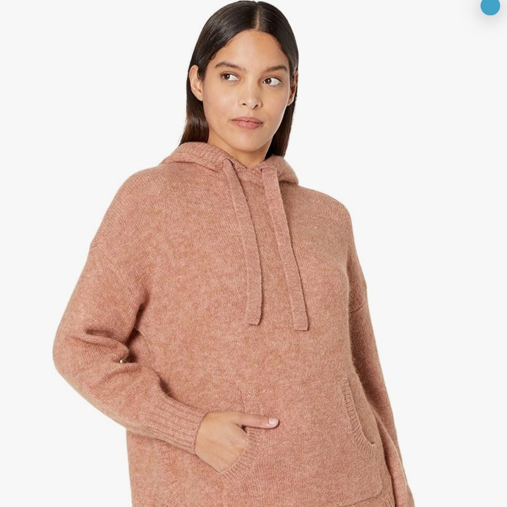 Madewell Dusty Rose Hoodie Sweater
